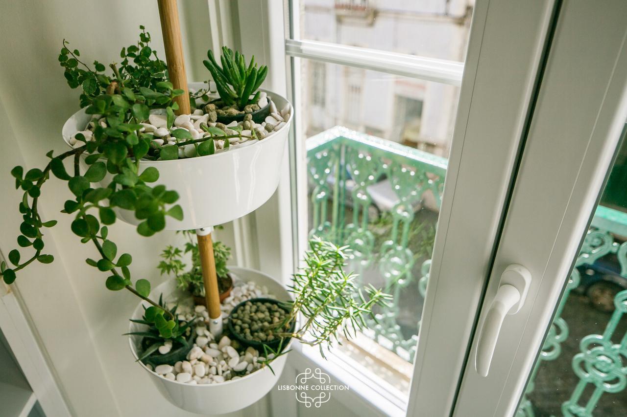 Apartamento Very And Charming 60 By Lisbonne Collection Lisboa
